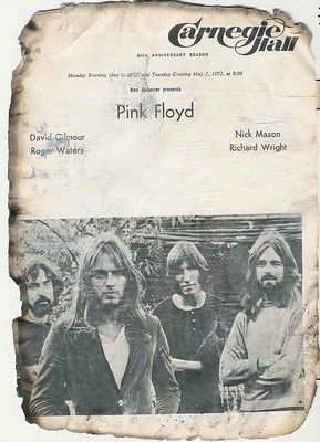 Pink Floyd, natural disasters and the lizard brain