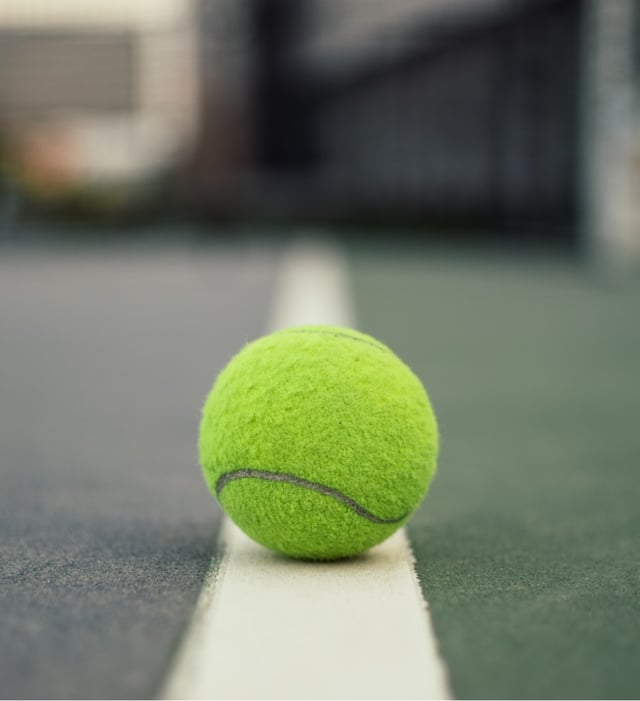inner game of tennis ball.jpg